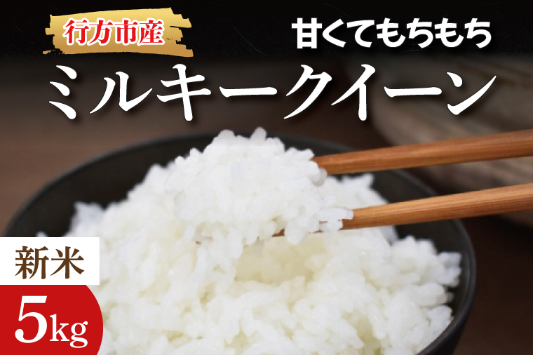 【令和7年産】★数量限定★甘くてもちもち ミルキークイーン 精米5kg｜米 お米 こめ ミルキークイーン 数量限定 令和7年産 茨城県 行方市 人気 送料無料(BR-2-1)