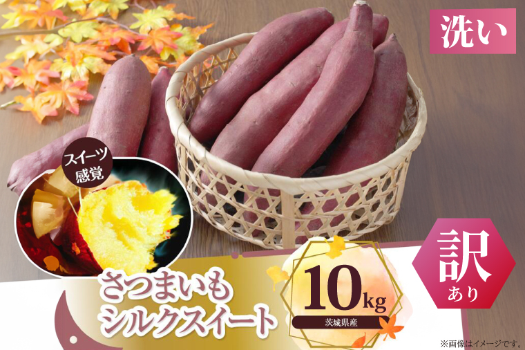 【訳あり】さつまいも　シルクスイート 約10kg｜さつまいも 芋 お芋 わけあり 訳あり シルクスイート タネのハシモト 茨城県 行方市(BS-22)