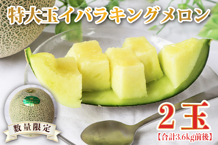 【2026年5月より順次発送】特大玉イバラキングメロン 2玉｜メロン イバラキングメロン フルーツ 果物 くだもの 特大 先行予約 茨城県 行方市(BW-15-1)