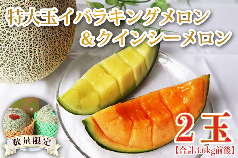 【2026年5月より順次発送】特大玉イバラキングメロン＆クインシーメロン（各1玉／計2玉）｜メロン クインシーメロン イバラキングメロン フルーツ 果物 くだもの 特大 先行予約 茨城県 行方市(BW-16-1)
