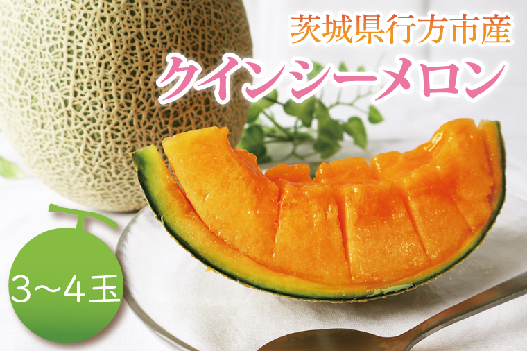【2026年5月より順次発送】クインシーメロン 3～4玉｜メロン クインシーメロン フルーツ 果物 くだもの 先行予約 茨城県 行方市(BW-17-1)