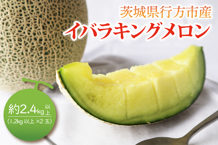 【2026年5月より順次発送】イバラキングメロン（2玉）｜メロン イバラキングメロン フルーツ 果物 くだもの 先行予約 茨城県 行方市(BW-20-1)