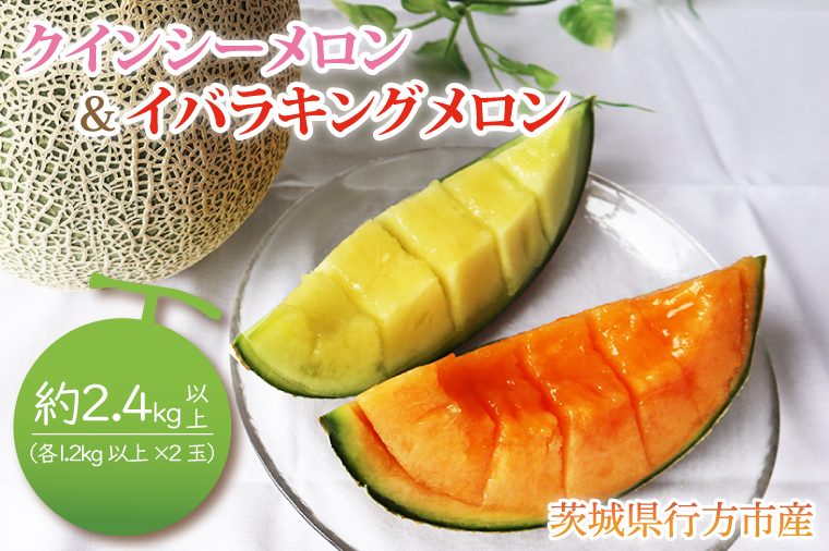 【2026年5月より順次発送】イバラキングメロン＆クインシーメロン（各1玉／計2玉）｜メロン クインシーメロン イバラキングメロン フルーツ 果物 くだもの セット 先行予約 茨城県 行方市(BW-21-1)