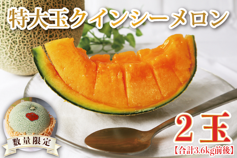 【2026年5月より順次発送】特大玉クインシーメロン(2玉)｜メロン クインシーメロン フルーツ 特大 果物 くだもの 先行予約 茨城県 行方市(BW-26)