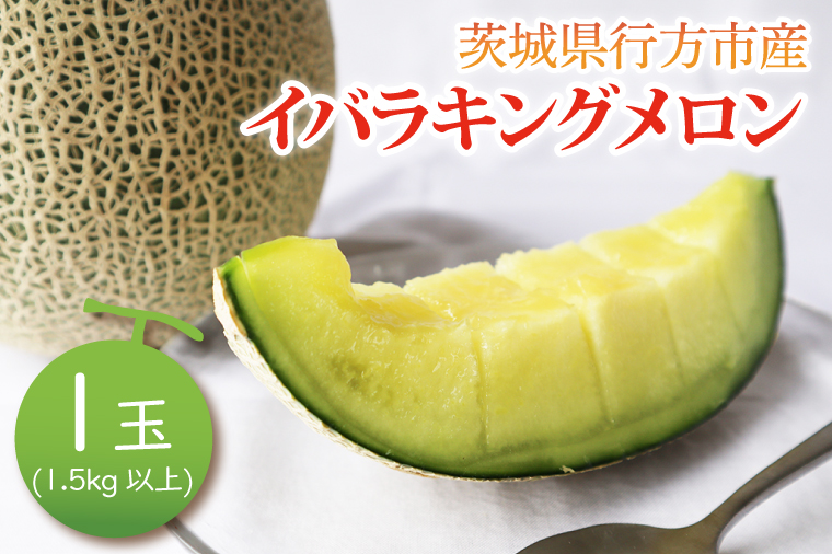 【2026年5月より順次発送】イバラキングメロン 1玉(1.5kg以上)｜メロン イバラキングメロン フルーツ 果物 くだもの 先行予約 茨城県 行方市(BW-27)