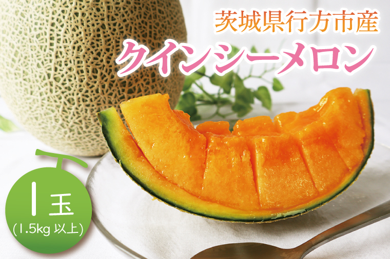 【2026年5月より順次発送】クインシーメロン 1玉(1.5kg以上)｜メロン クインシーメロン フルーツ 果物 くだもの 先行予約 茨城県 行方市(BW-28)