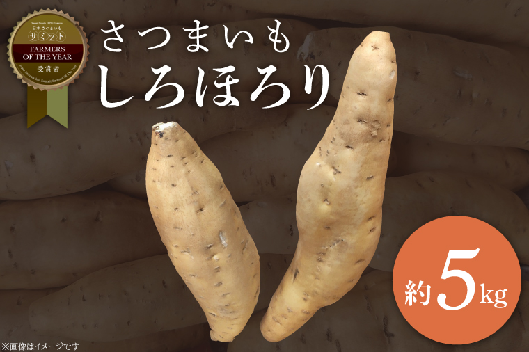 【2025年11月より順次発送】2025年度産 さつまいも しろほろり 約5kg｜さつまいも 芋 お芋 しろほろり 渋谷農園 先行予約 茨城県 行方市(BZ-41)