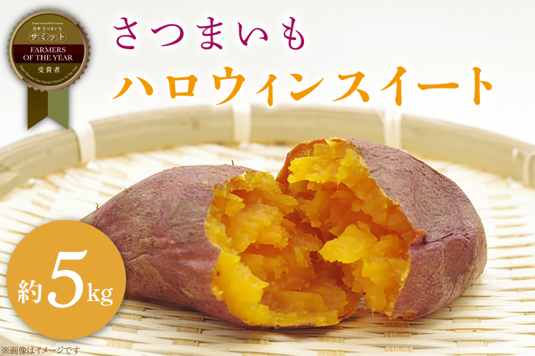 さつまいも ハロウィンスイート 約5kg｜茨城県 行方市 ふるさと納税 芋 いも さつまいも サツマイモ さつま芋 お芋 おいも ハロウィンスイート 5kg 10000円 1万円 渋谷農園 さつまいも博(BZ-47)