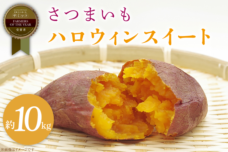 さつまいも ハロウィンスイート 約10kg｜茨城県 行方市 ふるさと納税 芋 いも さつまいも サツマイモ さつま芋 お芋 おいも ハロウィンスイート 10kg 20000円以下 2万円以下 渋谷農園 さつまいも博(BZ-48)
