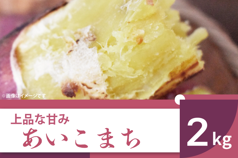 【2025年11月より順次発送】2025年度産 上品な甘みのさつまいも あいこまち 約2kg｜さつまいも サツマイモ さつま芋 芋 お芋 あいこまち 先行予約 渋谷農園 人気 送料無料 茨城県 行方市(BZ-53)