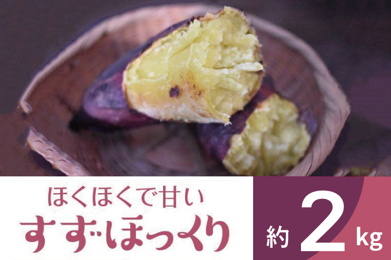 2025年度産 ホクホクで甘いさつまいも すずほっくり 約2kg｜さつまいも 芋 お芋 すずほっくり 渋谷農園 茨城県 行方市(BZ-55)