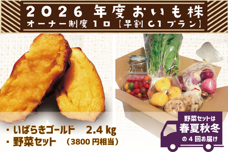 【早割C1プラン】2026年度おいも株オーナー制度 1口｜さつまいも 芋 サツマイモ お芋 おいも株 株 オーナー いばらきゴールド 野菜 野菜セット 定期便 らぽっぽファーム 体験 農園 茨城県 行方市(CQ-10-1)