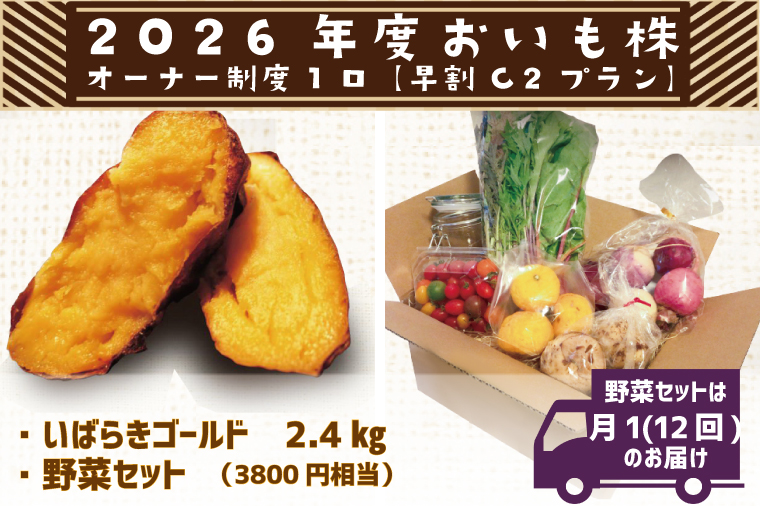 【早割C2プラン】2026年度おいも株オーナー制度 1口｜さつまいも 芋 サツマイモ お芋 おいも株 株 オーナー いばらきゴールド 野菜 野菜セット 定期便 らぽっぽファーム 体験 農園 茨城県 行方市(CQ-11-1)