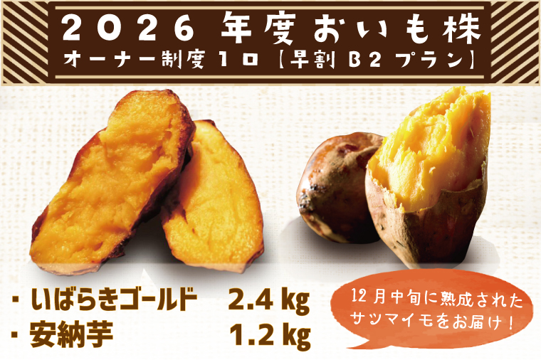 【早割B2プラン】2026年度おいも株オーナー制度 1口｜さつまいも 芋 サツマイモ お芋 おいも株 株 オーナー いばらきゴールド 安納芋 らぽっぽファーム 体験 農園 茨城県 行方市(CQ-27-1)