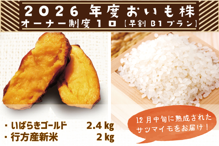 【早割B1プラン】2026年度おいも株オーナー制度 1口｜さつまいも 芋 サツマイモ お芋 おいも株 株 オーナー いばらきゴールド 米 お米 らぽっぽファーム 体験 農園 茨城県 行方市(CQ-6-1)