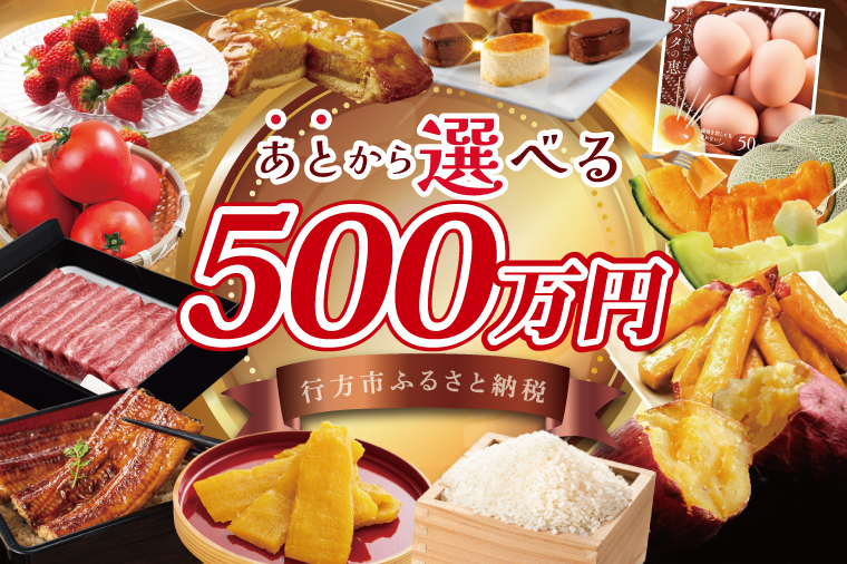 ★あとから選べる★茨城県行方市ふるさとギフト 寄附額：500万円分｜あとから選べる 後から選べる 選べる ギフト 肉 お肉 米 お米 コシヒカリ ミルキークイーン さつまいも サツマイモ 芋 お芋 うなぎ 干し芋 紅はるか スイーツ カタログ 500万円 茨城県 行方市 人気(CU-105)