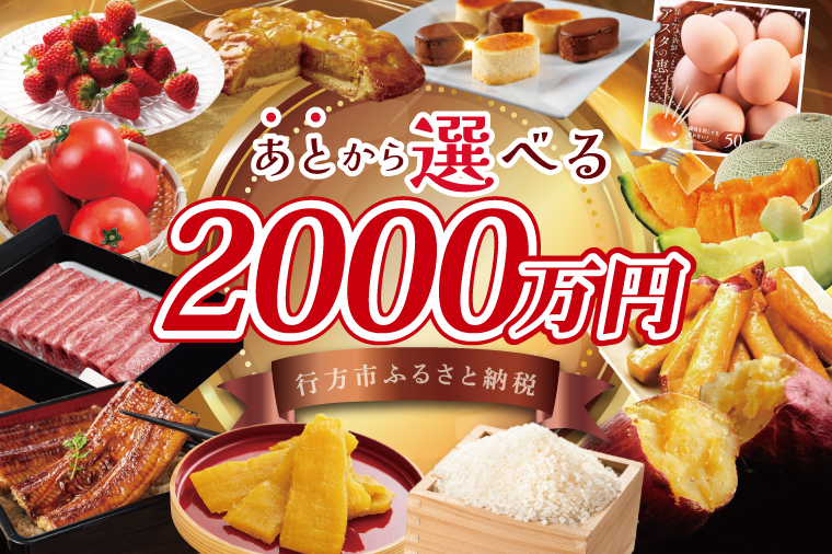 ★あとから選べる★茨城県行方市ふるさとギフト 寄附額：2000万円分｜あとから選べる 後から選べる 選べる ギフト 肉 お肉 米 お米 コシヒカリ ミルキークイーン さつまいも サツマイモ 芋 お芋 うなぎ 干し芋 紅はるか スイーツ カタログ 2000万円 茨城県 行方市 人気(CU-107)