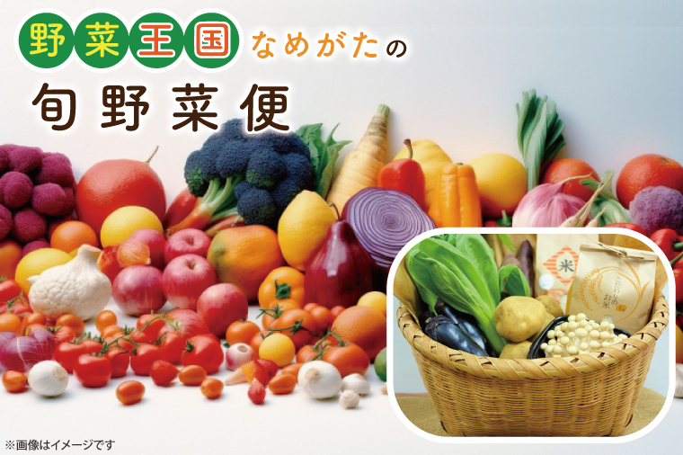 【野菜王国】なめがたの旬 野菜便(米 5kg入り)｜茨城県 行方市(CU-135)