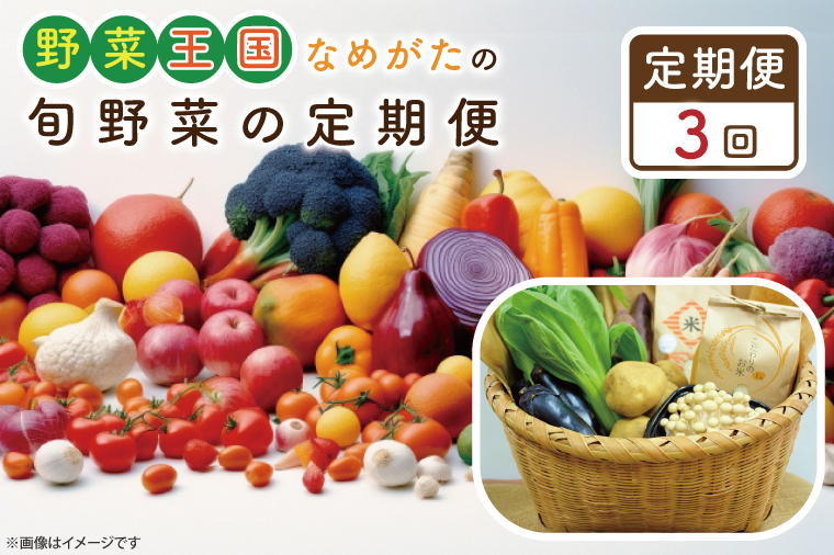【3ヶ月定期便】野菜王国なめがたの旬 野菜便(米 5kg入り)｜茨城県 行方市(CU-136)