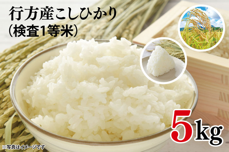 ★令和7年産★行方産こしひかり 5kg(検査1等 米)｜米 お米 コシヒカリ こしひかり R7年産 茨城県 行方市(CU-30-2)