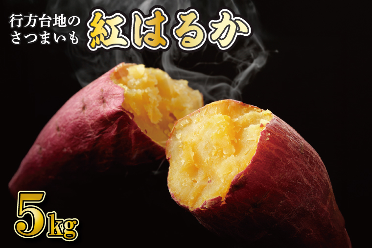 【2026年2月より順次発送】★訳あり★ 無選別 行方台地のさつまいも 紅はるか 約5kg｜訳あり ワケアリ 訳アリ さつまいも サツマイモ さつま芋 紅はるか 無選別 べにはるか 行方市 ふるさと納税(CU-317)