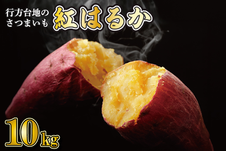 【2026年2月より順次発送】★訳あり★ 無選別 行方台地のさつまいも 紅はるか 約10kg｜さつまいも 芋 サツマイモ 紅はるか 訳あり わけあり 無選別 先行予約 茨城県 行方市(CU-55-5)