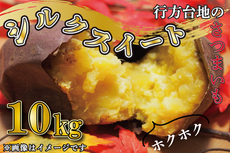 ★緊急支援品★【2026年4月下旬より順次発送】訳あり 無選別 行方台地のさつまいも 熟成シルクスイート 約10kg｜さつまいも 芋 サツマイモ シルクスイート 訳あり わけあり 無選別 茨城県 行方市(CU-85-6)
