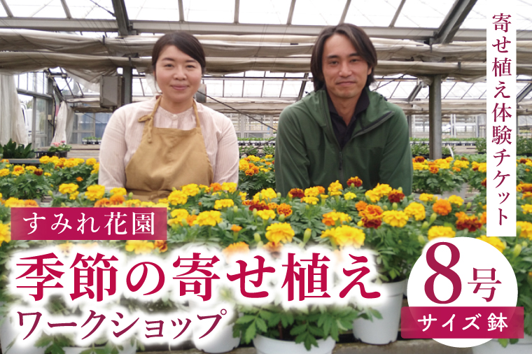 行方市の花農家「すみれ花園」季節の寄せ植えワークショップ(8号サイズ鉢)｜花 お花 季節の花 ワークショップ 体験 体験チケット ラーケーション ガーデンセラピー 寄せ植え 茨城県 行方市(EH-30)