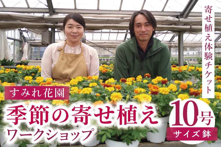 行方市の花農家「すみれ花園」季節の寄せ植えワークショップ(10号サイズ鉢)｜花 お花 季節の花 ワークショップ 体験 体験チケット ラーケーション ガーデンセラピー 寄せ植え 茨城県 行方市(EH-31)