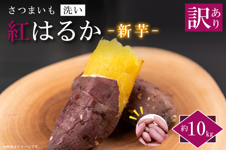 ★訳あり★【2025年9月より順次発送】農産物直売所「やさいの声」紅はるか 新芋 洗い 約10kg|訳ありさつまいも サツマイモ 紅はるか 洗い 行方市 ふるさと納税(EK-10)