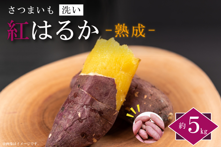 【2026年1月より順次発送】農産物直売所「やさいの声」熟成紅はるか 洗い 約5kg|さつまいも サツマイモ 紅はるか 熟成 洗い 行方市 ふるさと納税(EK-12)