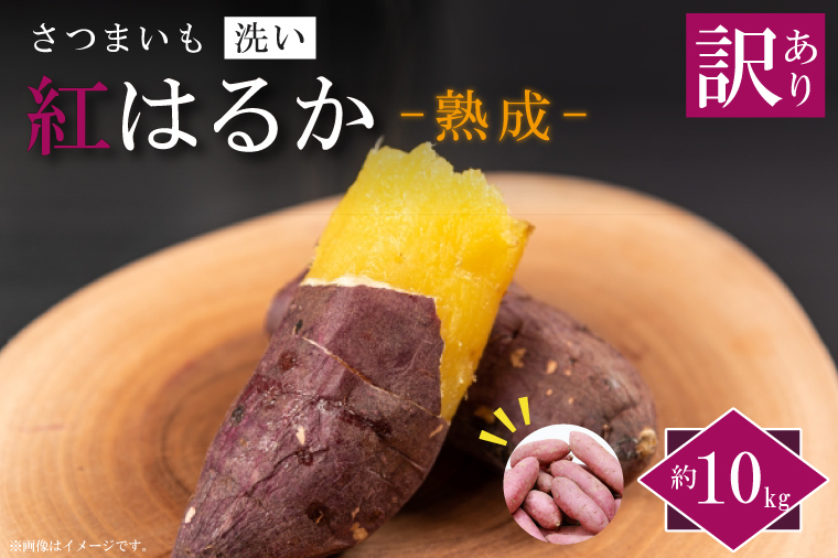 ★訳あり★【2026年1月より順次発送】【訳あり】農産物直売所「やさいの声」熟成紅はるか　洗い　約10kg|さつまいも サツマイモ 紅はるか 熟成 洗い 行方市 ふるさと納税(EK-13)