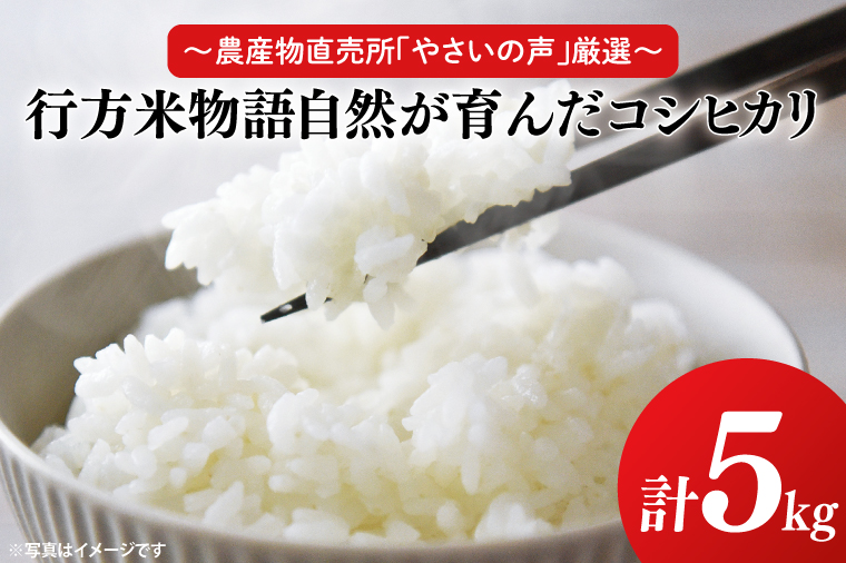 ～農産物直売所「やさいの声」厳選～「行方米物語 - 自然が育んだコシヒカリ５kg」｜米 お米 こめ コシヒカリ ご飯 白ご飯 令和7年産 R7年産 茨城県 行方市(EK-7-2)