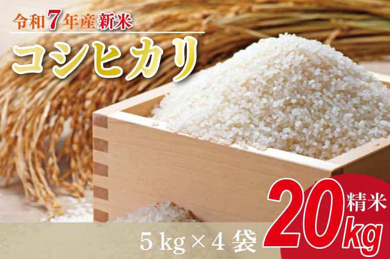 ★新米★R7年産 コシヒカリ 20kg(5kg×4袋)｜米 お米 白米 精米 新米 R7年産 令和7年産 こしひかり コシヒカリ 茨城県 茨城県産 行方市(HA-15)