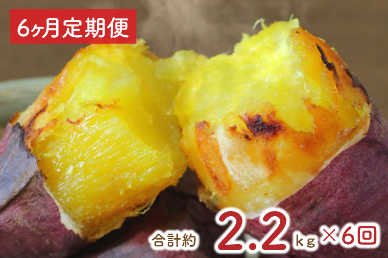 【6ヶ月定期便】熟成紅はるかの冷凍焼き芋約2kg＋おまかせ品種さつまいも　合計約2.2kg｜さつまいも サツマイモ さつま芋 焼き芋 やきいも 冷凍 冷凍焼き芋 紅はるか 定期便 茨城県 行方市(EY-14)