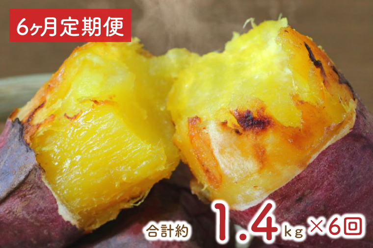 【6ヶ月定期便】★少し大きめサイズ★熟成紅はるか冷凍焼き芋約1.2kg＋おまかせ品種さつまいも 合計約1.4kg!（EY-16）