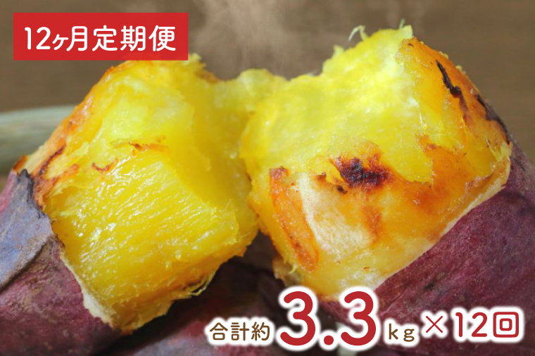 【12ヶ月定期便】熟成紅はるかの冷凍焼き芋約3kg＋おまかせ品種さつまいも　合計約3.3kg！（EY-21）