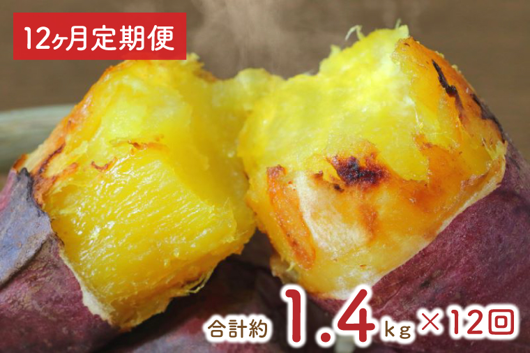 【12ヶ月定期便】★少し大きめサイズ★熟成紅はるか冷凍焼き芋約1.2kg＋おまかせ品種さつまいも 合計約1.4kg!（EY-22）