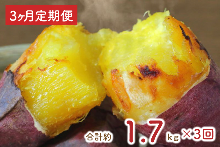 【3ヶ月定期便】★訳あり★紅はるか冷凍焼き芋約1.5kg＋おまかせ品種さつまいも　合計約1.7kg（EY-32）