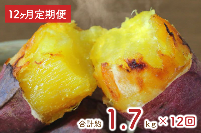 【12ヶ月定期便】★訳あり★紅はるか冷凍焼き芋約1.5kg＋おまかせ品種さつまいも　合計約1.7kg（EY-34）