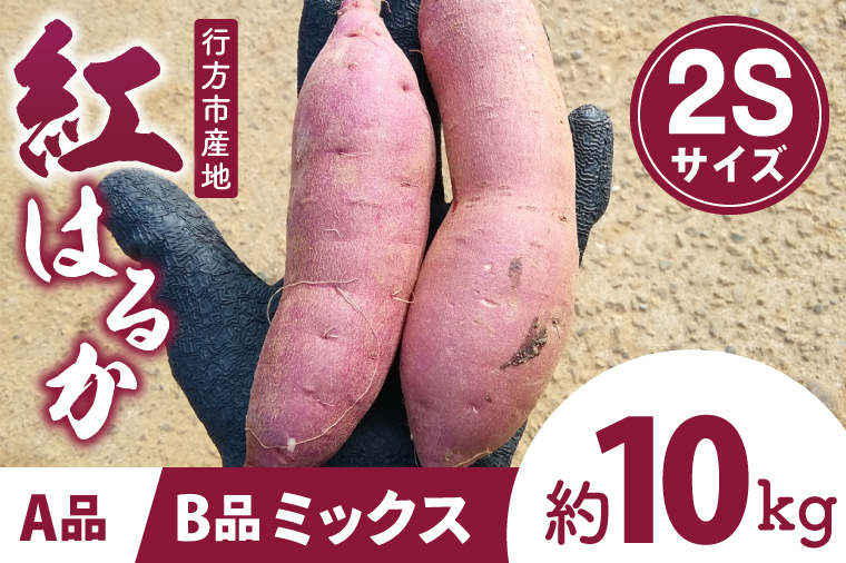 茨城県行方市特産紅はるか 2Sサイズ(A品・B品ミックス) 約10kg｜さつまいも サツマイモ お芋 紅はるか 特産品 茨城県 行方市(FU-5)