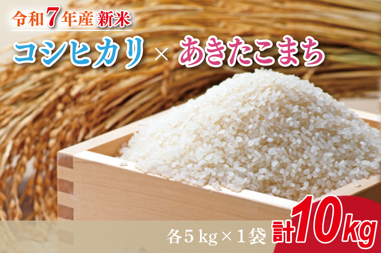 【2025年9月中旬より順次発送】★新米★R7年産 コシヒカリ 5kg+あきたこまち 5kg｜米 お米 白米 精米 新米 R7年産 令和7年産 コシヒカリ こしひかり あきたこまち 食べ比べ 茨城県 茨城県産 行方市(HA-20)