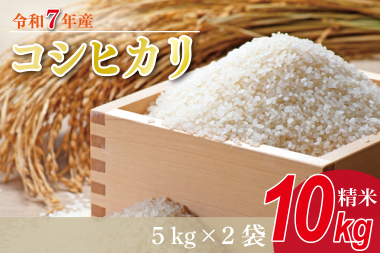 ★新米★R7年産 コシヒカリ 10kg(5kg×2袋)｜米 お米 白米 精米 新米 R7年産 令和7年産 こしひかり コシヒカリ 茨城県 茨城県産 行方市(HA-14)