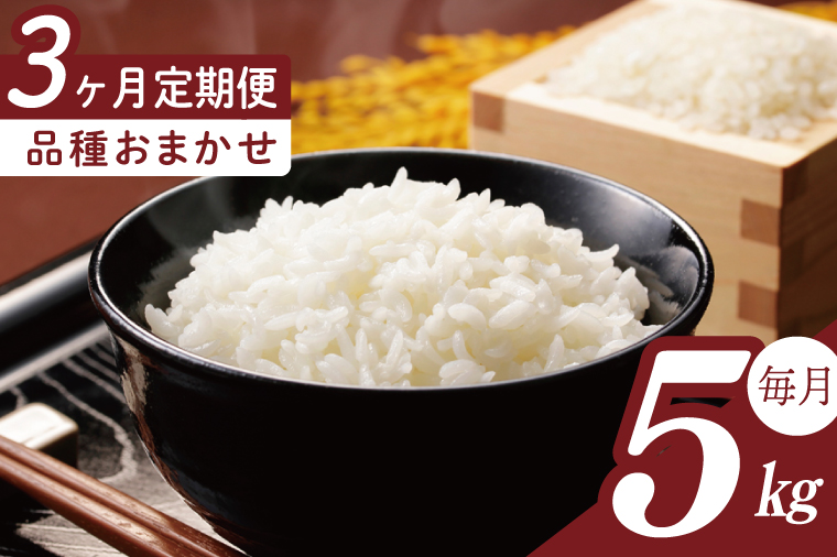 【2026年2月より順次発送】【3回定期便】R7年産米 品種おまかせ定期便 5kg｜米 お米 白米 精米 R7年産 令和7年産 こしひかり コシヒカリ ミルキークイーン にじのきらめき あきたこまち 定期便 おまかせ定期便 茨城県 茨城県産 行方市(HA-35)