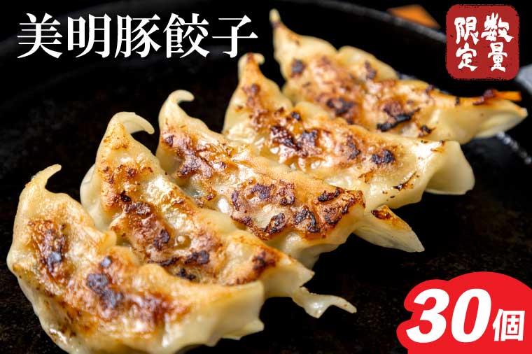 【2025年12月上旬より順次発送】美明豚「びめいとん」のジューシー餃子 1パック(30個入り)｜餃子 ぎょうざ ギョウザ 美明豚 びめいとん 数量限定 肉 肉加工品 豚肉 お肉 ジューシー  茨城県 行方市(HJ-5)
