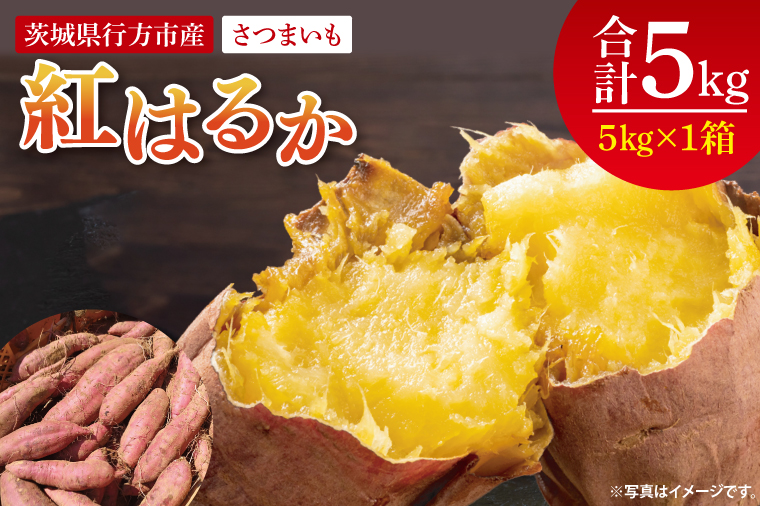 【2025年9月より順次発送】さつまいも(紅はるか) 約5kg｜さつまいも 芋 サツマイモ 紅はるか 先行予約 茨城県 行方市(HP-1)