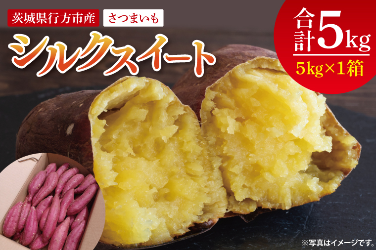【2025年9月より順次発送】さつまいも(シルクスイート) 約5kg｜さつまいも 芋 サツマイモ シルクスイート 先行予約 茨城県 行方市(HP-2)