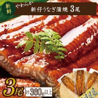 やわらか国内産うなぎ蒲焼満足サイズ！120～140g 3尾　計360g以上|うなぎ 鰻 蒲焼 満足 茨城県 行方市(AD-84-1)