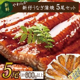 やわらか国内産うなぎ蒲焼満足サイズ！120～140g 5尾　計600g以上|うなぎ 鰻 蒲焼 満足 茨城県 行方市(AD-82-1)