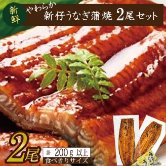 やわらか国内産うなぎ蒲焼き！ 食べ切りサイズ100～120g 2尾　計200g以上|うなぎ 鰻 蒲焼 食べ切り 茨城県 行方市(AD-106-1)